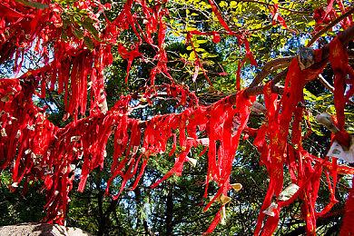 国产冒险游戏《佛兰德斯的狗》Steam上线 发售日期待定